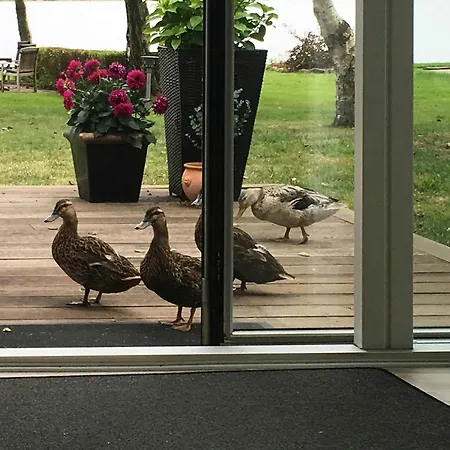بيت للعطل Sommerhus Med Privat Badebro Ved Sunds So *